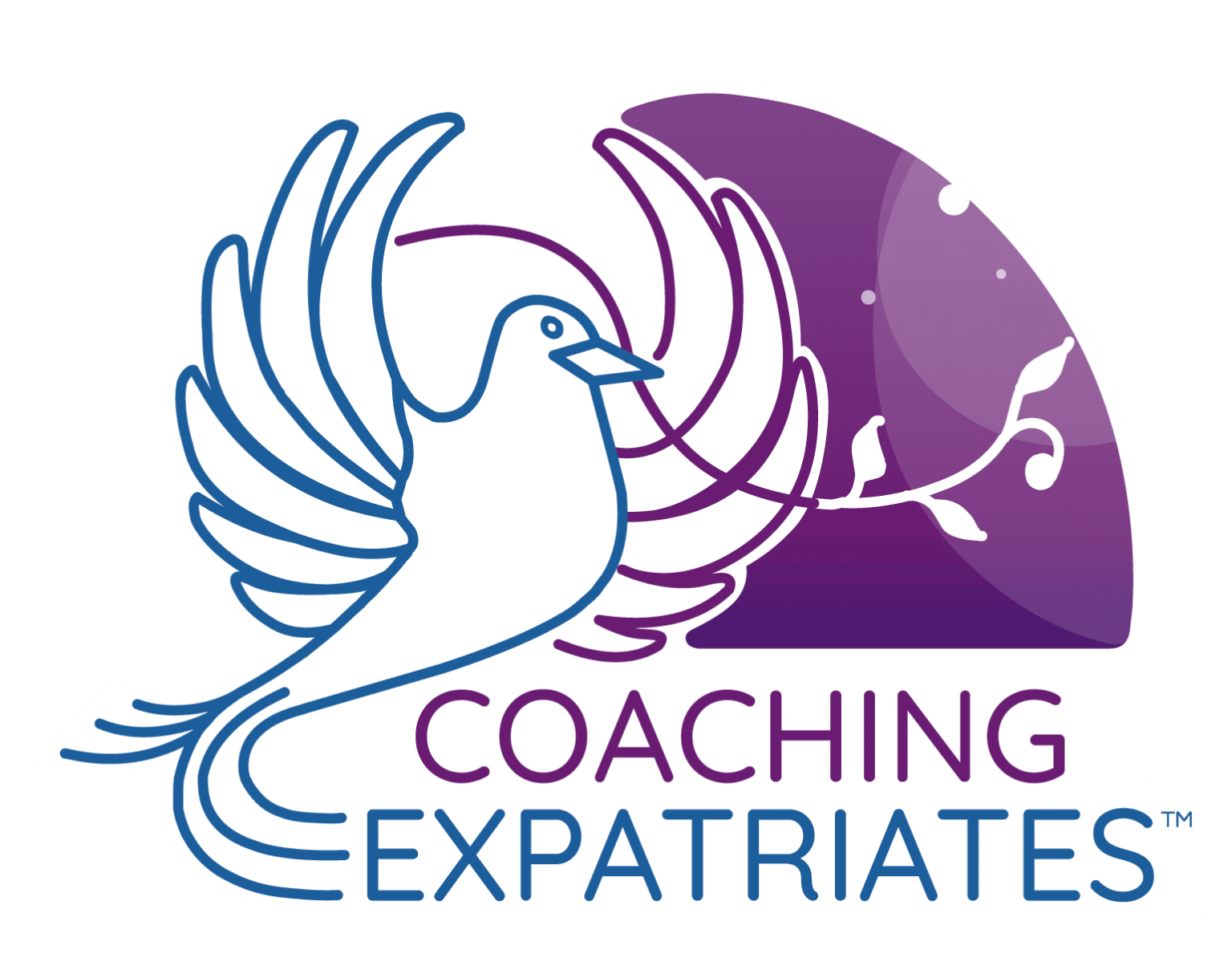 Company Services | Coaching Expatriates®