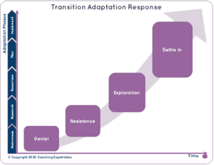 101 Guide To The Expatriation Adaptation Progress - Coaching Expatriates®