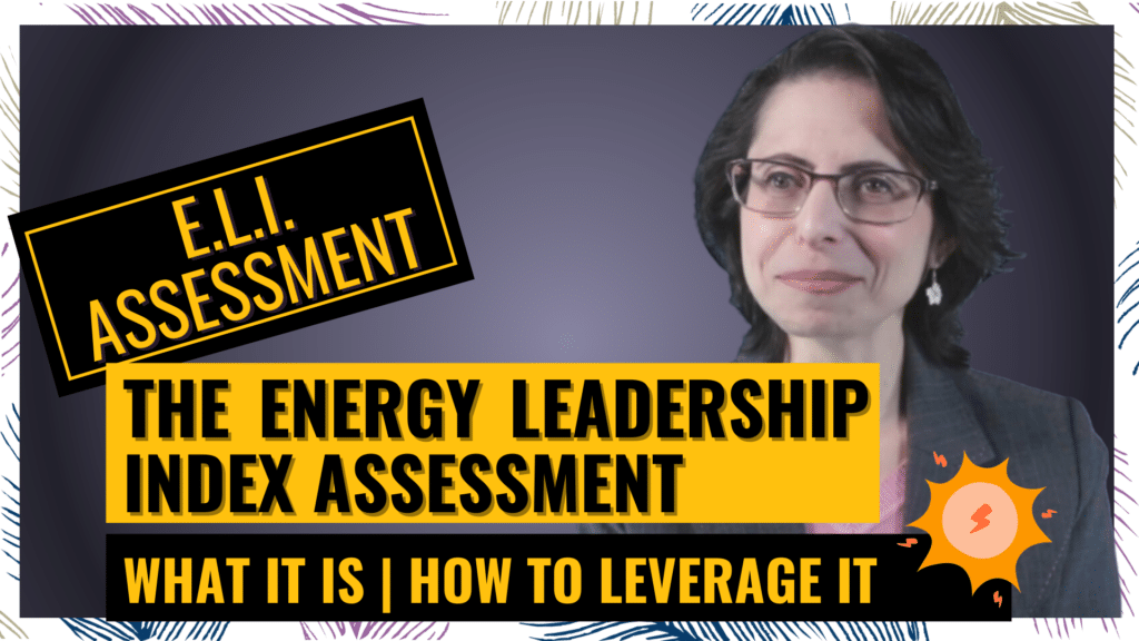 The Energy Leadership™ Index Assessment All You Need To Know Coaching Expatriates®