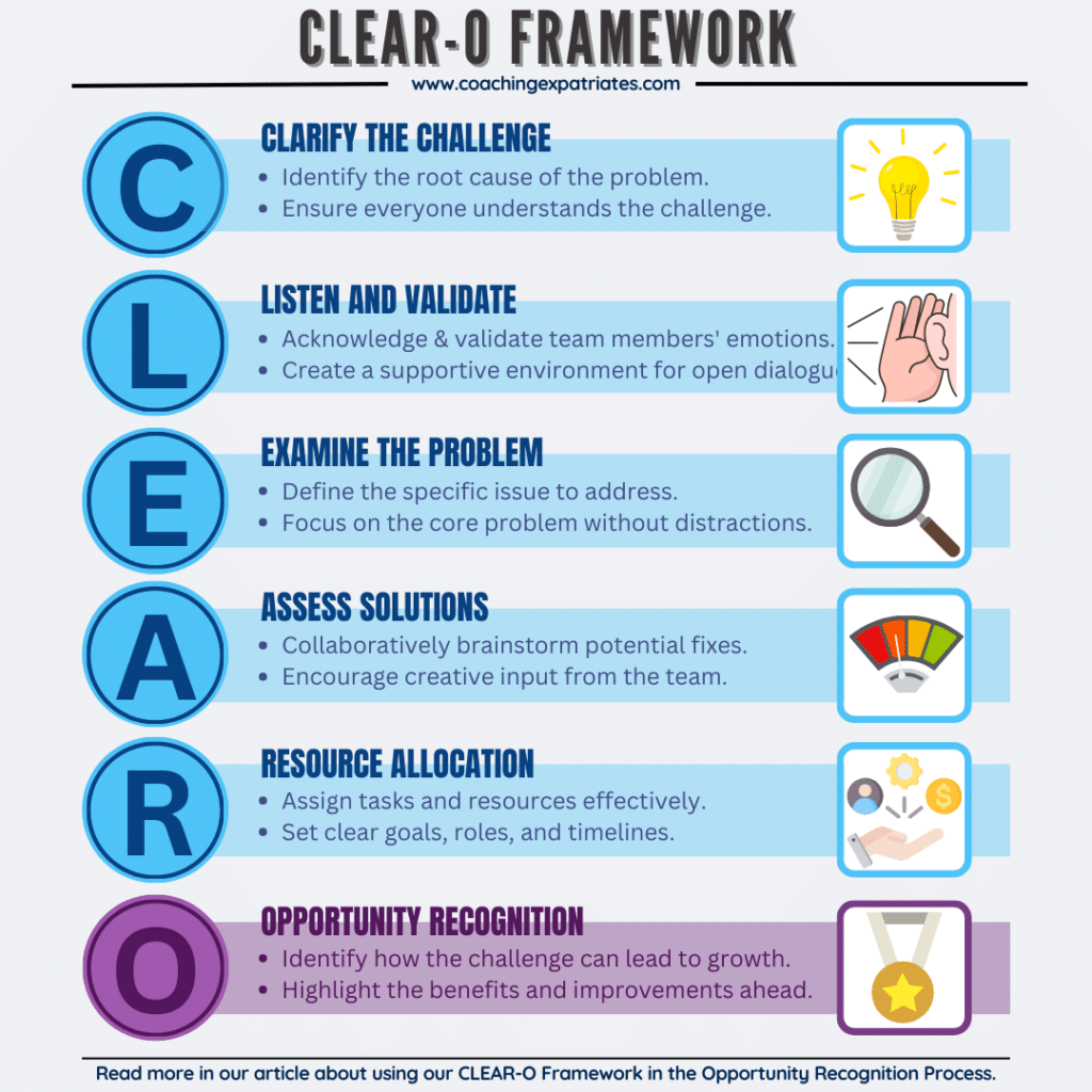 Infographic - Opportunity Recognition Schematics